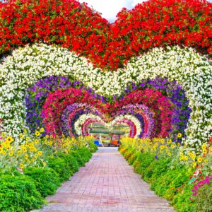 be4dcb43a3fb96386a8337be12e05c35-dubai miracle garden