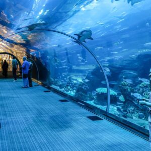 dubai_aquarium_tunnel@2x