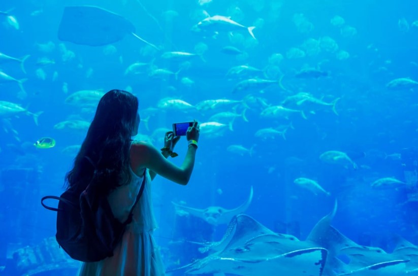 dubai-underwater-zoo